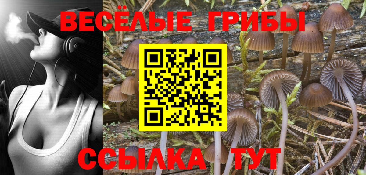 Гашиш Великий Новгород