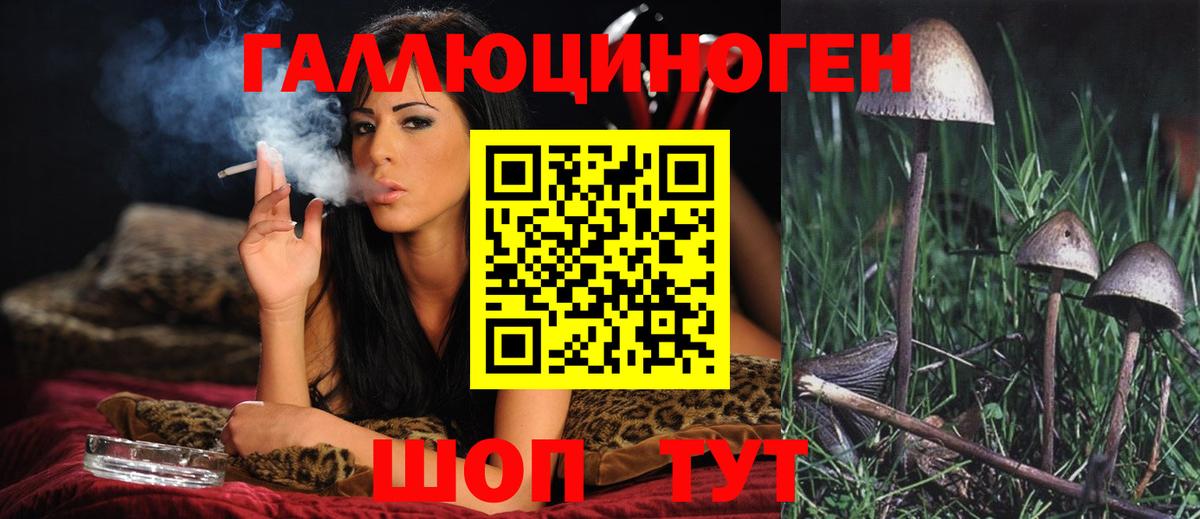 Галлюциногенные грибы Psilocybe  где можно купить   Великий Новгород  Вход с VPN 