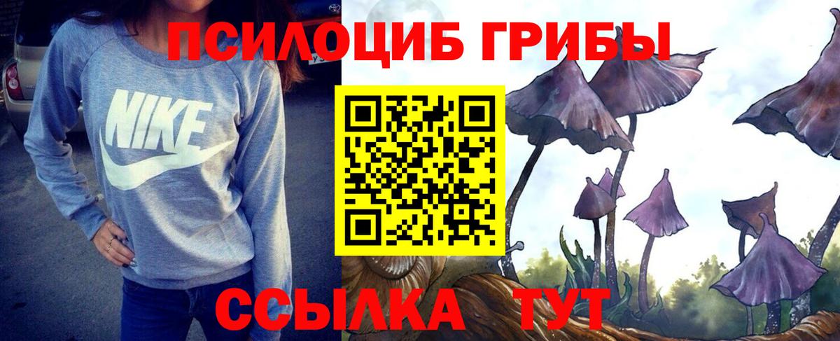 Галлюциногенные грибы прущие грибы Великий Новгород